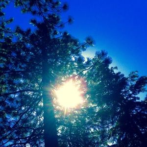 Meet your Posher, Zara